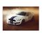 Tableau Bois Voiture De Sport 5 40 X 30 Cm Blanc