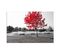 Tableau Bois Les Feuilles Rouges Sur Un Arbre 80 X 60 Cm Rouge