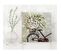 Tableau Bois Fleurs Sur Un Vélo 60 X 60 Cm Blanc
