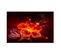 Tableau Bois Fleur De Feu 120 X 80 Cm Rouge