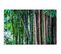 Tableau Bois Bambou 3 120 X 80 Cm Vert