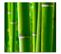Tableau Bois De Bambou 20 X 20 Cm Vert