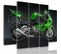 Tableau Une Moto De Sport 250 X 120 Cm Vert