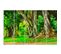 Tableau Arbres Dans Le Parc 200 X 100 Cm Vert