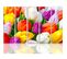 Tableau Tulipes Colorées 100 X 70 Cm Multicolore
