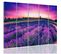 Tableau Paysage Lavande 300 X 140 Cm Violet
