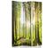 Paravent Ambiance Forêt Et Lumière - Cloison Nature 3 Panneaux 110 X 150 Cm - 1 Face Déco Vert