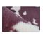 Tapis Rabbit Animal 500 160 X 230 Cm Violet