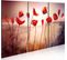 Tableau Coquelicots Rouge Vif 90 X 60 Cm Rouge