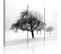 Tableau Arbres Dans Le Brouillard 90 X 60 Cm Blanc