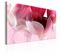 Tableau Tulipes Roses Naturelles 90 X 60 Cm Rose