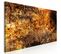 Tableau Pupille Étroite 150 X 50 Cm Orange