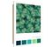 Tableau Bois Vert Exotique 40 X 60 Cm Vert