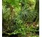 Tableau Forêt Tropicale 120 X 80 Cm Vert
