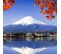 Tableau Bois Mont Fuji 120 X 80 Cm Bleu