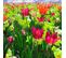 Tableau Bois Prairie Tulipes 120 X 80 Cm Vert