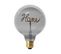 Ampoule G125 Filaments LED "home" 4w Gris