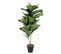 Plante Artificielle En Pot "goldi" 98cm Vert