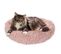 Coussin Pour Chien et Chat "apaisant" 60cm Rose