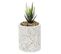 Plante Artificielle En Pot "terrazzo" 11cm