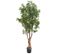 Plante artificielle haute gamme Spécial extérieur Aralia, coloris vert - Dim : 165 x 80 cm