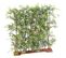 Plante Artificielle Haute Gamme Spécial Extérieur/ Haie Bambou Artificiel  Vert - 90 X 45 X 110 Cm