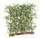 Plante Artificielle Haute Gamme Spécial Extérieur/ Haie Bambou Artificiel  Vert - 110 X 45 X 110 Cm