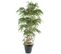 Plante Artificielle Haute Gamme Spécial Extérieur/bambou Artificiel Coloris Vert - 180 X 90 Cm