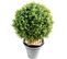 Plante artificielle haute gamme Spécial extérieur / Buis boule artificiel - Dim : H.88 x D.70 cm