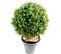 Plante artificielle haute gamme Spécial extérieur / Buis boule artificiel - Dim : H.170 x D.130 cm