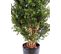 Plante artificielle haute gamme Spécial extérieur / BUIS Artificiel Buisson UV - Dim : 80 x 50 cm