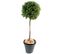 Plante Artificielle Haute Gamme Spécial Extérieur/buis Boule Coloris Vert - H.110 X D.45 Cm