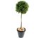 Plante Artificielle Haute Gamme Spécial Extérieur/buis Boule Coloris Vert - H.140 X D.50 Cm