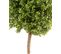 Plante Artificielle Haute Gamme Spécial Extérieur/buis Boule Coloris Vert - H.170 X D.60 Cm