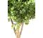 Plante artificielle haute gamme Spécial extérieur / Buis tige double boule - Dim : H.140 x D.40 cm