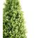 Plante Artificielle Haute Gamme Spécial Extérieur/buis Topiaire Coloris Vert - H.70 X D.40 Cm