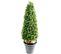 Plante Artificielle Haute Gamme Spécial Extérieur/buis Topiaire Coloris Vert - H.70 X D.40 Cm