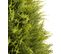 Plante artificielle haute gamme Spécial extérieur / Cyprès coloris vert - Dim : 135 x 60 cm