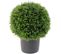 Plante artificielle haute gamme Spécial extérieur / Cyprès artificiel vert - Dim : D.43 x H.34 cm