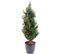 Plante Artificielle Haute Gamme Spécial Extérieur/cyprès Artificiel De Lawson Uv Résistant 125x40 cm