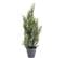 Plante Artificielle Haute Gamme Spécial Extérieur/cyprès Artificiel Mini Vert - 60 X 20 Cm