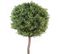 Plante Artificielle / Eucalyptus Artificiel Boule - Dim : 110 x 45 cm