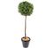 Plante Artificielle / Eucalyptus Artificiel Boule - Dim : 110 x 45 cm