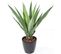 Plante Artificielle Haute Gamme Spécial Extérieur/agave Furcraea Artificielle - 110 X 90 Cm