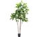 Plante Artificielle Haute Gamme Spécial Extérieur/palissandre Artificielle Vert - 175 X 105 Cm