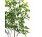 Plante Artificielle Haute Gamme Spécial Extérieur/palissandre Artificielle Vert - 175 X 105 Cm