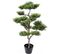 Plante artificielle haute gamme Spécial extérieur / PIN artificiel BONSAI - Dim : 95 x 60 cm