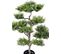 Plante artificielle haute gamme Spécial extérieur / PIN artificiel BONSAI - Dim : 95 x 60 cm