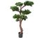 Plante artificielle haute gamme Spécial extérieur / PIN artificiel BONSAI UV - Dim : 150 x 90 cm