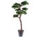 Plante artificielle haute gamme Spécial extérieur / PIN artificiel BONSAI UV - Dim : 220 x 120 cm